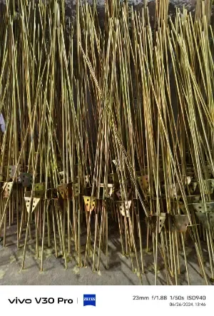 PP MS Trisul Road For Mini Sprinkler1