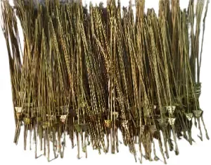 PP MS Trisul Road For Mini Sprinkler2 1